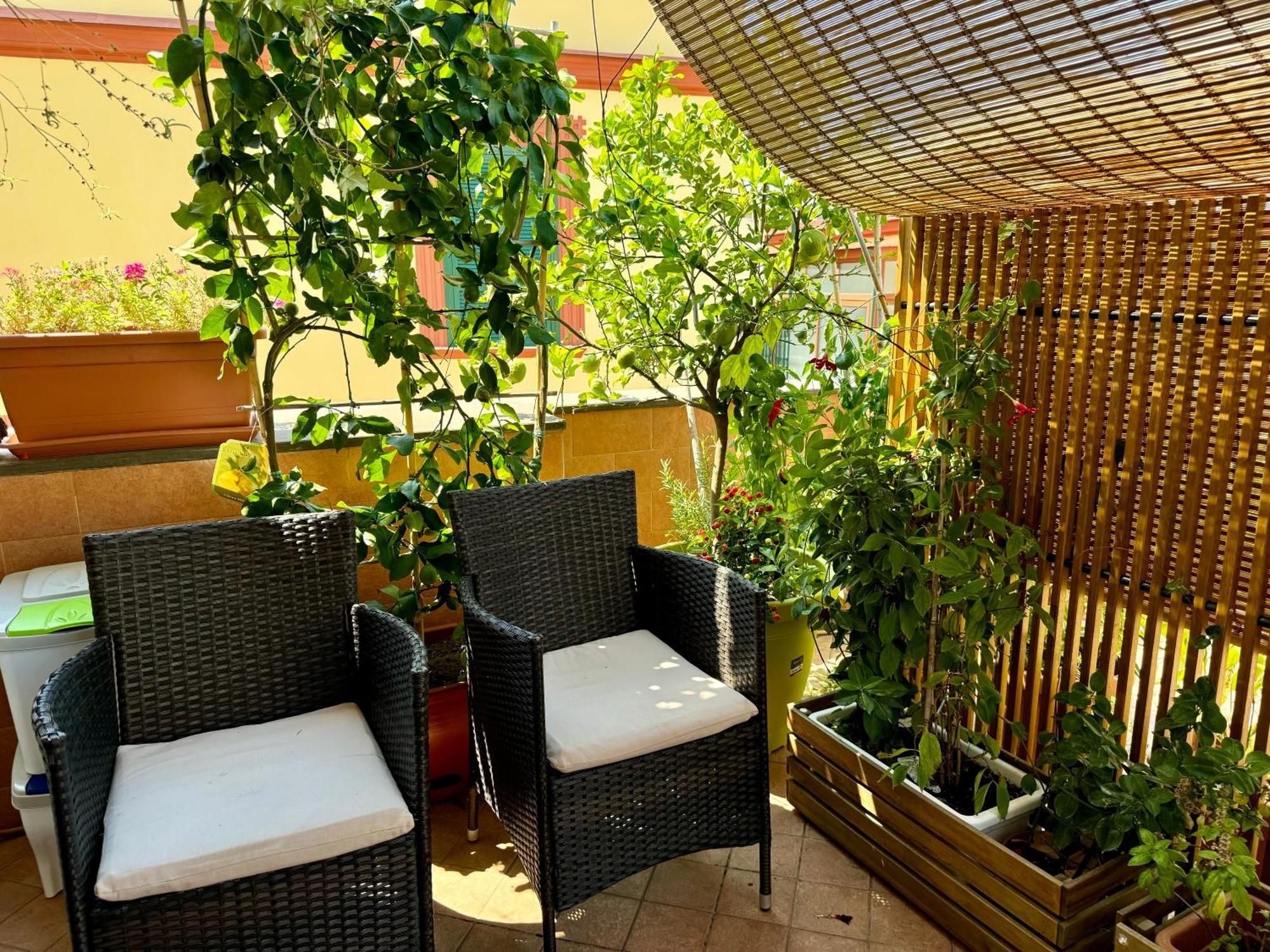 Apartment Il Cammeo 2 Guest House, Near Pompeii And Vesuvius *